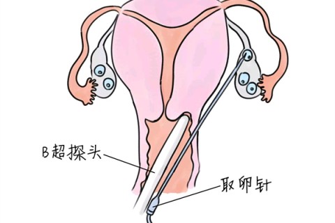 http://baoding.huochezhan.net/post/205.html|保定供卵助孕