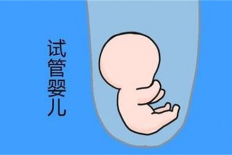 培养保定捐卵宝宝艺术细胞的小技巧