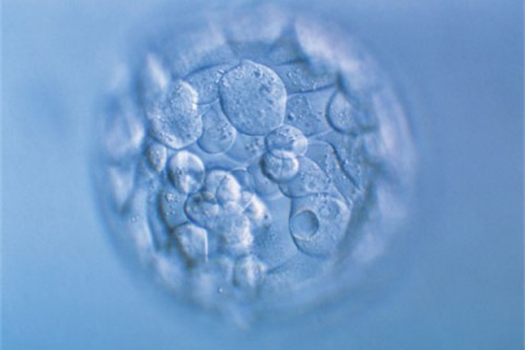 http://baoding.huochezhan.net/post/200.html|保定新闻中心